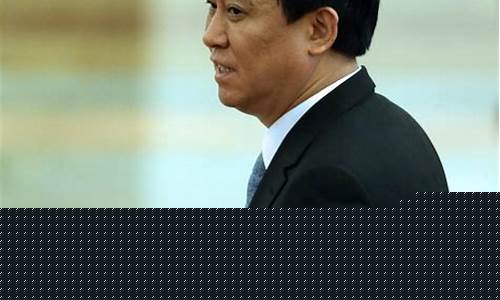 许家印两会国家队-许家印两会发言