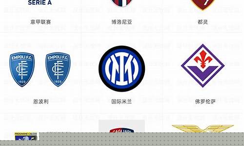 意甲球队每年奖金-意甲奖金分配方案