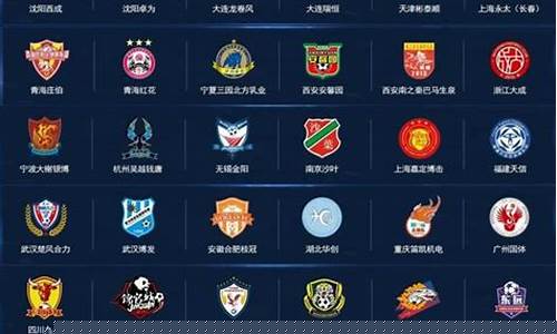 中丙联赛广西足球-广西中冠球队
