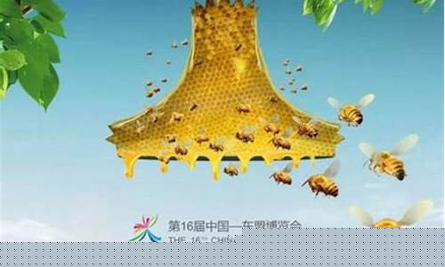 东盟篮球是什么级别-东盟足球锦标赛