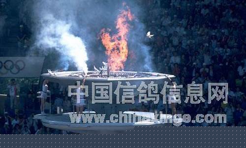 奥运圣火烧鸽子-汉城奥运会火炬烧鸽子