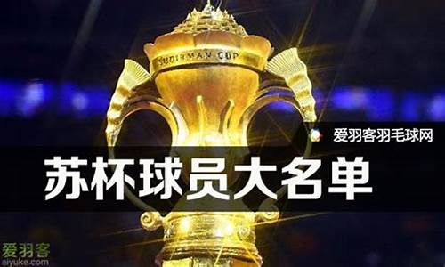 苏迪曼杯决赛对阵名单-苏迪曼杯决赛日程