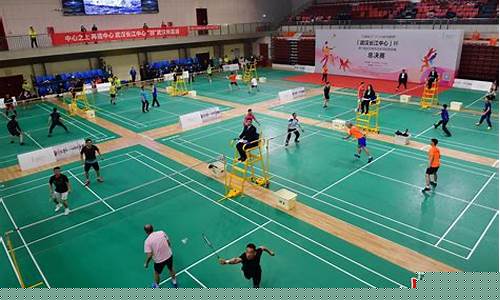 羽毛球俱乐部联赛参赛队伍-羽毛球队名单