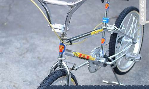 bmx小轮车品牌推荐-bmx小轮车国家队