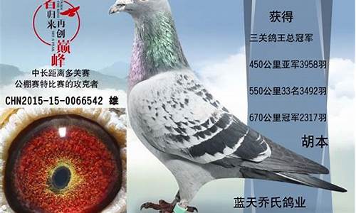 皇家马德里地址-北京皇家马德里信鸽展厅