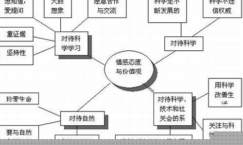 篮球情感价值观目标-篮球情感价值观目标有哪些