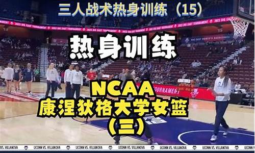 美国各大学篮球队标志-全美篮球大学标志