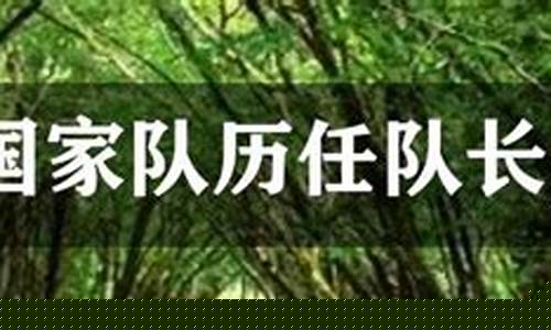 法国国家队队长都谁-法国国家队现任队长