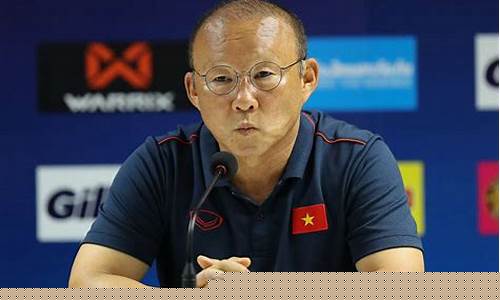 越南国家队主教练是谁-越南国家队主教练