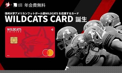 virginia大学篮球-wildcats大学篮球