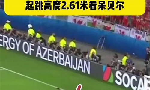16年欧洲杯半决赛法国德国-2016年欧洲杯半决赛,德国0:2法国,赛后评分