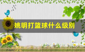 姚明篮球什么水平-姚明打篮球什么级别