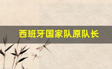西班牙国家队原队长名单-西班牙国家队原队长