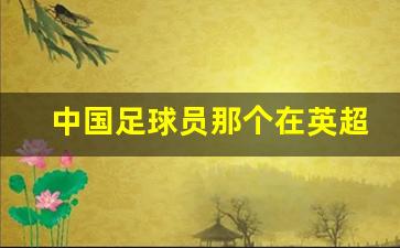 中国足球员那个在英超-中国球员在英超效力 成功的球员都有谁呢
