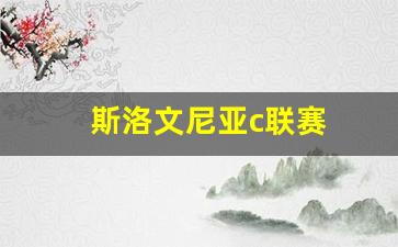 斯洛文尼亚杯-斯洛文尼亚c联赛