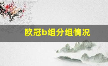 欧冠b组分组情况-欧冠b组积分榜