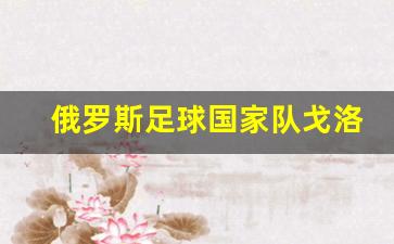俄罗斯足球国家队戈洛温-戈洛温罗伊斯