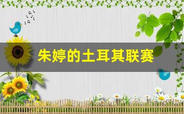 朱婷的土耳其联赛-朱婷的土耳其联赛是哪一年