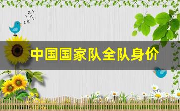 中国国家队全队身价-中国国家队队员身高