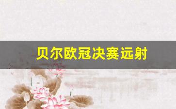 贝尔欧冠决赛远射-贝尔绝杀欧冠