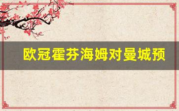 欧冠霍芬海姆对曼城预测-霍芬海姆转会拜仁