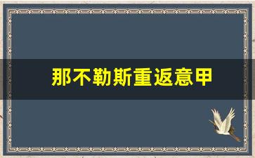 意甲第二轮那不勒斯对ac米兰-那不勒斯重返意甲