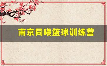 南京同曦篮球队员名单-南京同曦篮球训练营