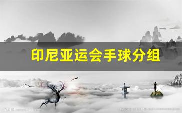 印尼亚运会手球分组-印尼亚运会老帅
