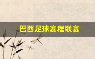 巴西足球联赛比分-巴西足球赛程联赛