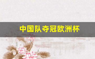 中国队夺冠欧洲杯-中国队夺冠欧洲杯阵容