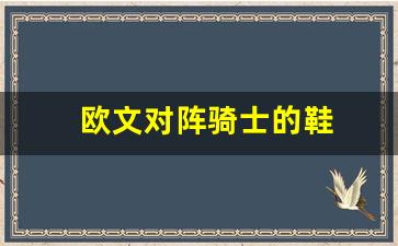 欧文对阵骑士的鞋-欧文在骑士的阵容
