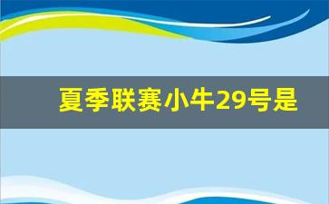 小牛23号球员-夏季联赛小牛29号是谁