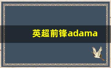 英超前锋adama-英超前锋历史排行榜